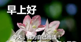 【一路繁花】：為了有的選，要身體健康；如果沒得選，就坦然接受