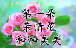 送長輩健康禮，綻放幸福笑容