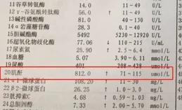 尿毒癥有哪些癥狀？全面了解尿毒癥的發病表現