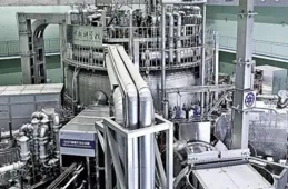 我們真的能種「太陽」！兒歌裏的「能源自由」也許不是夢