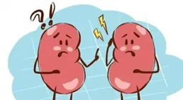 腎虛不是最可怕的，最可怕的是脾腎兩虛，想補都不好補進去！