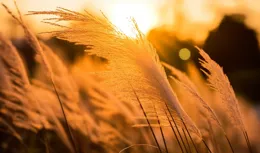 靠自己的人，命最好