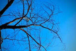 擁抱風光無限（原創）