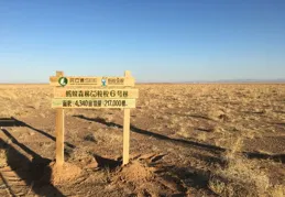 細分市場也能長出「參天大樹」（觀象台）