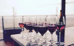 酒，要和投緣的人喝；日子，要和懂你的人過。