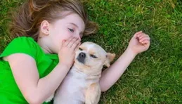 你在什麽時候最心疼你的寵物？