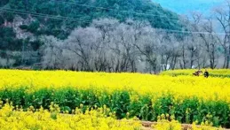 散文||聆聽，春天的聲音