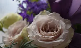 男人背叛後，既不跟外面女人斷，也不離婚，他究竟想幹嘛？