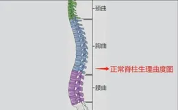 體醫科普｜春節假期避免掉入「葛優躺」陷阱