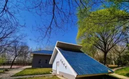 臉色暗黃睡眠不好如何調理?