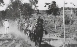 解放戰爭中聶帥打得一般，為何55年能評元帥？最關鍵的是4個字