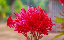 高段位的女人，有6個維度，組成了她完美人生