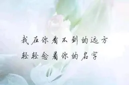 寂寞有誰知，思念無人訴