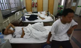 9歲孝心差點要了媽媽的命：3厘米誤差的野菜，撕開大家認知盲區