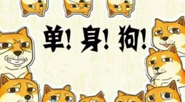 那些伴侶動物保護法是不是可以這樣定？