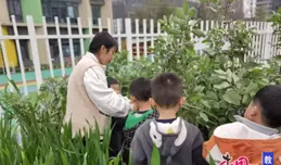 「植」此青綠，共築家園 天府新區白麓幼稚園開展「植樹節」活動