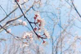 企業家智慧：真正的強者，都藏著鋒芒