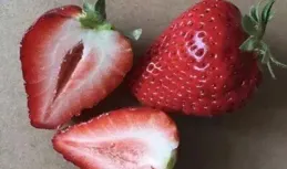 辟謠！科學辟謠「草莓瘟」，還草莓安全真相