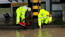 你的全力以赴，會照亮你前行的路