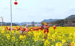C視覺丨油菜花霸屏季！四川各地上演春日金色浪漫