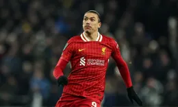 回聲報：斯洛特體系缺乏高效9號位 歐冠出局加速了引進前鋒的需求