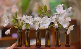 難喝的「口服液瓶子」居然是個寶，這些利用方法，讓人靈感大爆發