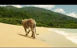 如果原導演沒有結束【少年派的奇幻漂流】將會是一部截然不同電影