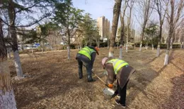 春季「綠」動 園林養護正當時
