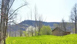 詩歌：春天（外二首）