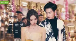 如何評價李易峰、陳鈺琪、鄭業成主演的電視劇【鏡·雙城】？