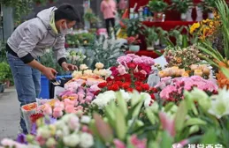 敦煌：春日花卉熱銷市民家中添彩迎新春
