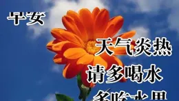 3月24日周一早上好! 願您：晨起精神爽，生活滿春光，健康永護航