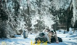 「新東北作家群」，進入文學影視改編潮 | 閱讀日