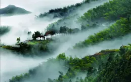 南宋龍泉窯青瓷：一抹青綠，千年風雅