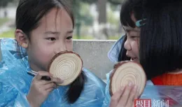 共赴自然之約：光華路小學【大樹會說話】植樹節特別課堂開講