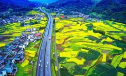 C視覺·航拍四川︱春啟，瞰大地的色彩！航拍垂直影像系列征集賽開啟