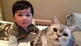 貓的一些叫聲聽起來格外可愛，人是怎麽感知聲音可愛程度的呢？