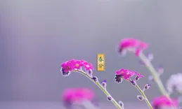 3月星座運勢大揭秘，金牛座會有桃花運嗎？