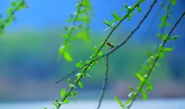 三月，願你在瑣碎的日常中，溫暖而輕盈