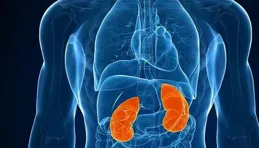 世界腎臟日：腎臟的幾個求救訊號千萬別忽視！如何預防腎臟病？