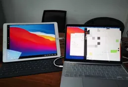 為什麽兩個「米」（米哈遊和小米）都這麽和其他友商不一樣？