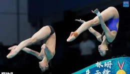 中國跳水：為何成為世界難以逾越的高峰？