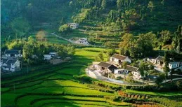 東湖評論：美麗鄉村，從「面子」到「裏子」的深層蝶變