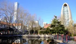 王謹｜遲開的蠟梅