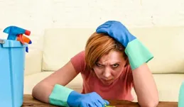 對很懶不愛收拾的人來說，如何解決室內養寵物的衛生問題？