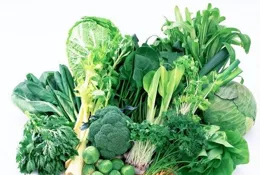 板藍根也能當菜吃？醫生：可適當嘗鮮 不能取代藥物