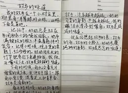文章力求質樸務實