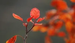 當你老了，躺在病床上就會明白，晚年靠得住的，是這3樣！
