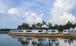 周末遊欽州 | 老街尋味，海上逐豚 ：風情美食悠遊之旅