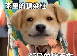 沙雕表情包3.15